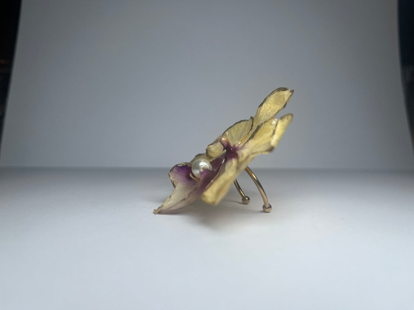 LA MIELOSA RING