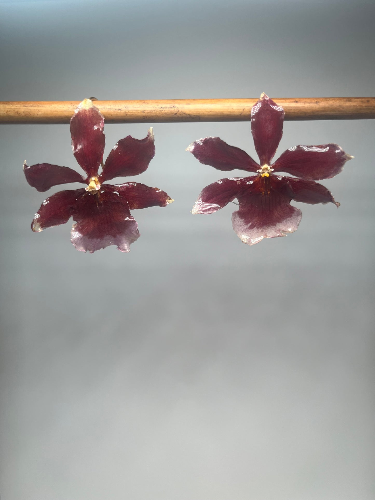 RAYO ROSADO EARRINGS