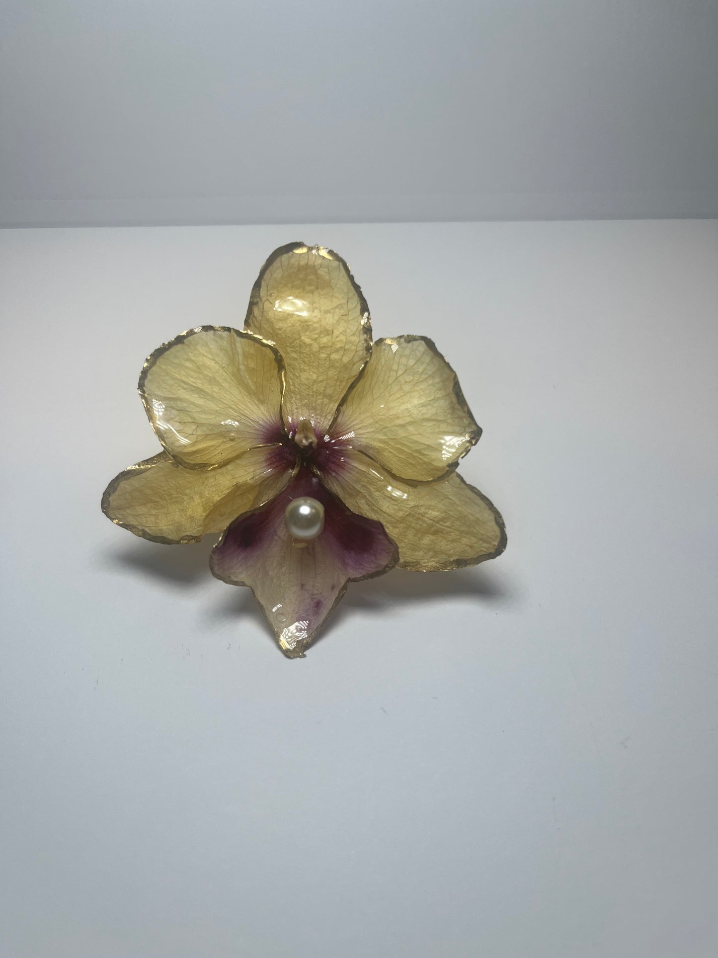 LA MIELOSA RING